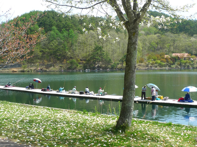 東筑摩郡や周辺地域で秋釣りができる場所20選と注意点│釣れる魚・持ち物・釣り具屋・防寒対策・イワナ