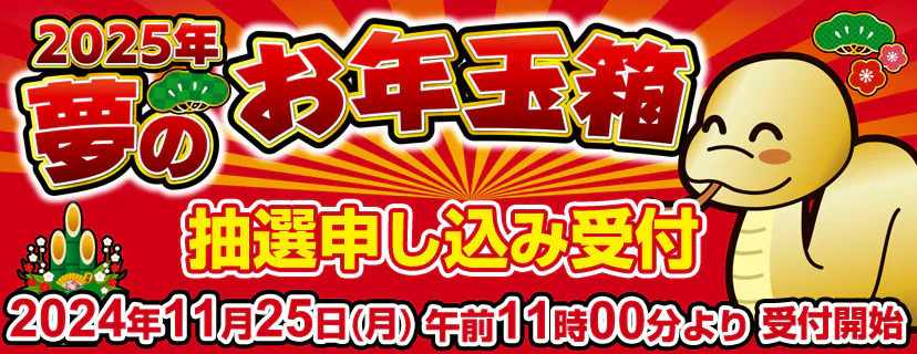 ヨドバシカメラの福袋2025年「夢のお年玉箱」の最新情報ネタバレ│11月25日抽選予約開始・中身や価格や今年のおすすめ、人気の理由など徹底解説