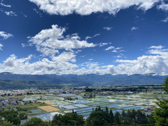 長野県宮田村で「推しマルシェ2024」が11月23日24日に開催│出店者・参加方法・当日の天気・インスタグラマー